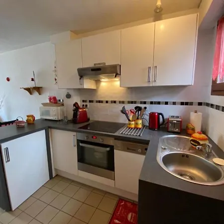 別荘 Patio A Capbreton, Proche Du Centre - Fr-1-413-229